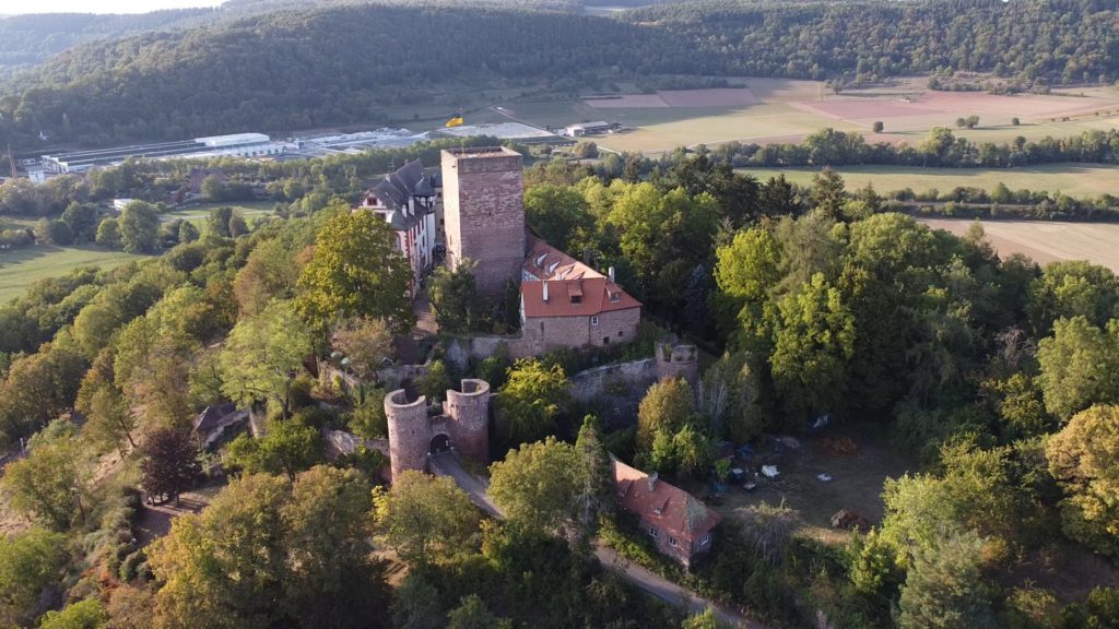 Mediengruppe: Kinderreporter auf der Gamburg